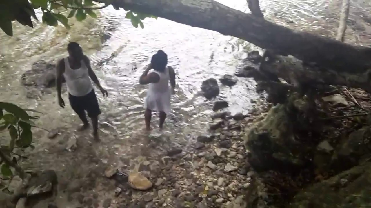 LIVE from MONKEY ISLAND in Jamaica 