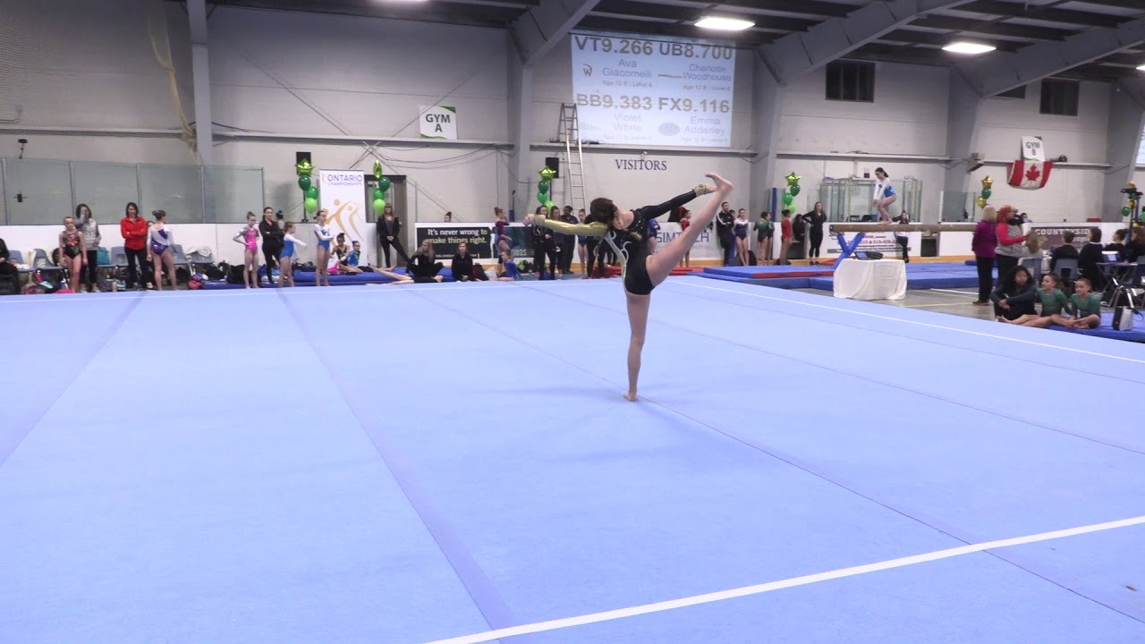 Ontario Gymnastics Championships 2019 Level 6 Age 12 B Deadly Silence