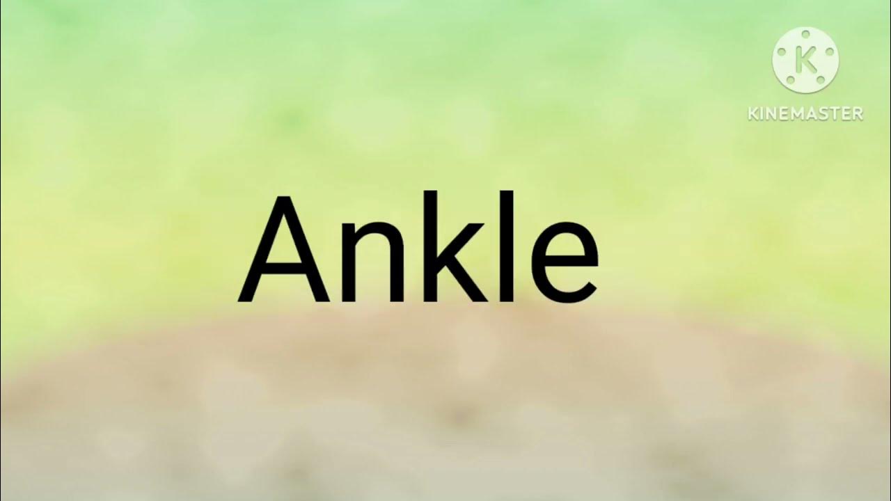 ankle-meaning-in-hindi-ankle-hindi-takhana