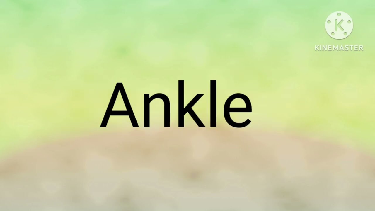Ankle Meaning In Hindi Ankle Hindi Takhana Ankle Meaning In Hindi Ankle Hindi Takhana