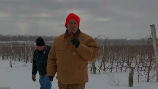 Dr. Terence Robinson, Cornell Agri-Tech, August 2024
