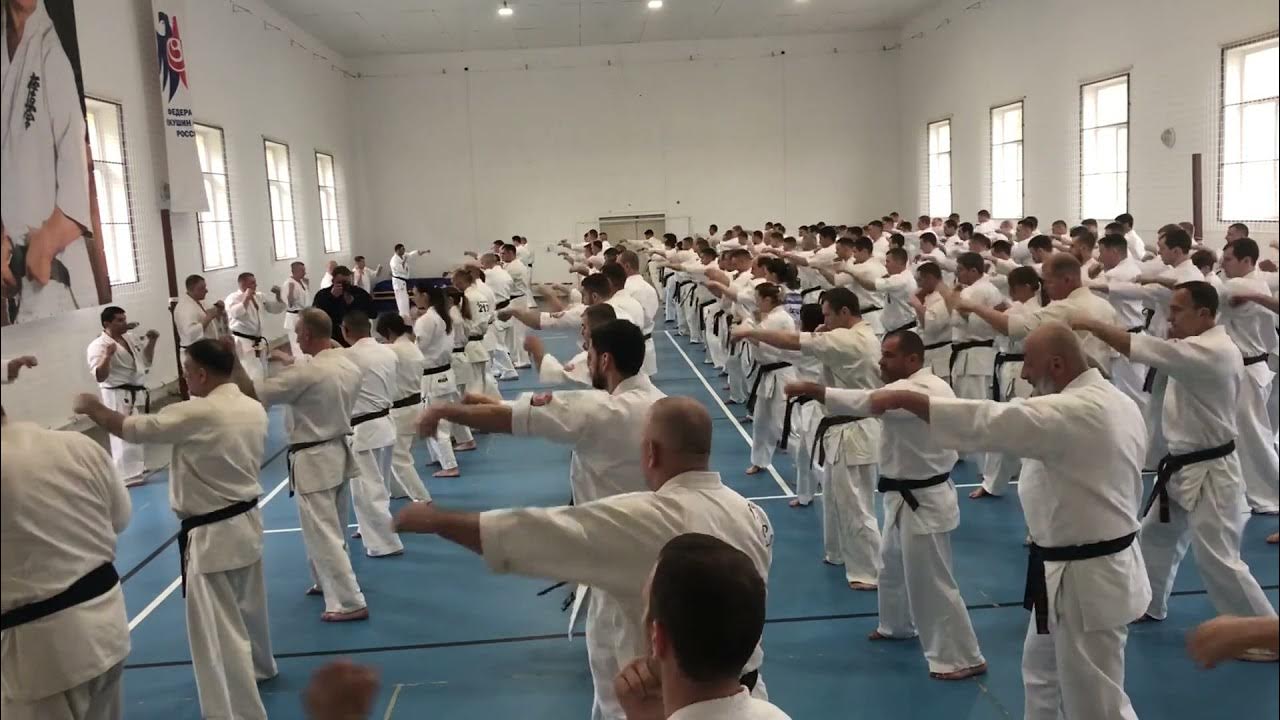 Карате Видное Олимп