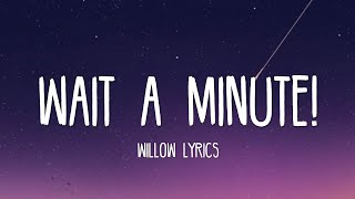 Willow - Wait A Minute! (TikTok Remix) [Lyrics] | I think I left my consciousness on your front door