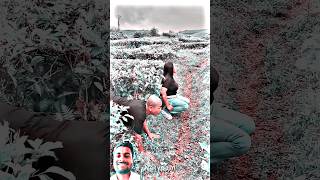 2Pac All Eyez On Megangsta Remix