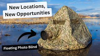 Finding the PERFECT spot to use my floating photography blind. The results don't lie!