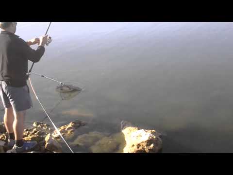 შაორზე თევზაობა  2014