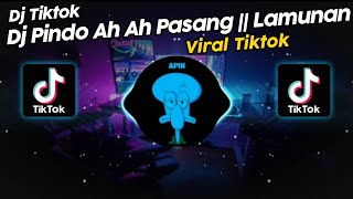 DJ PINDO AH AH PASANG KANG TANPO WANGENAN VIRAL TIK TOK TERBARU 2024!!