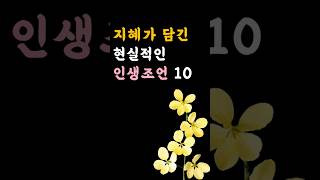 지혜가 담긴 현실적인 인생조언 10 #긍정 #부자의 #인생철학 #지혜명언