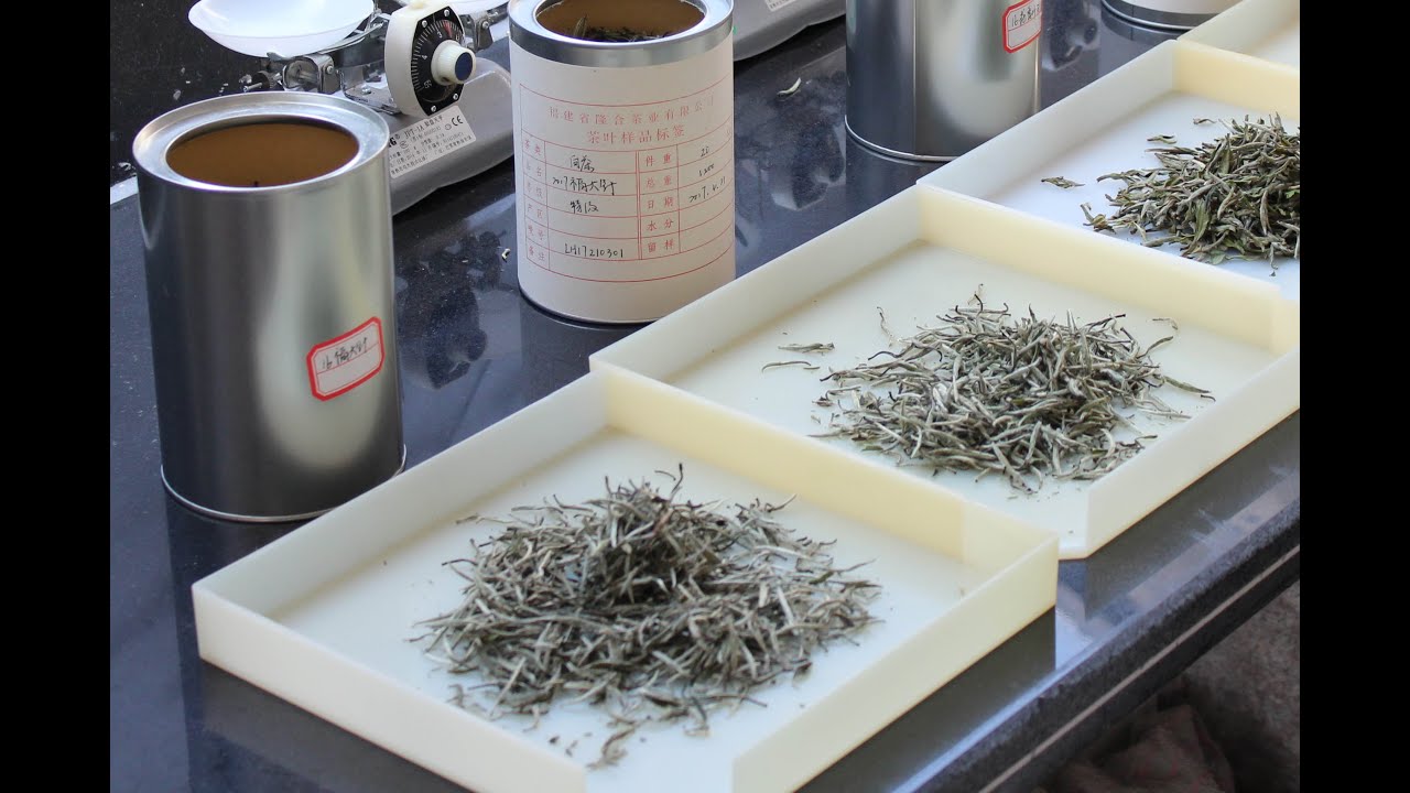 Los Mitos del Té Blanco - Parte I