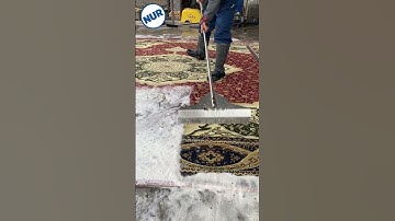 Foam scraping #41 #satisfying #asmr #carpetcleganin #shorts #carpetcleaning #oddlysatisfying