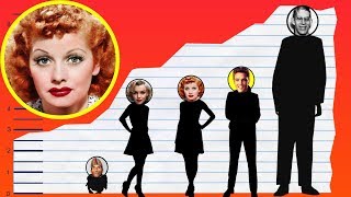 How Tall Is Lucille Ball? - Height Comparison! Content