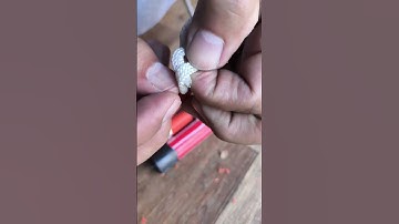 The Simple Trick to Prune Tall Plants Without Climbing Ladders!