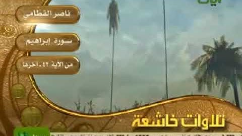 تلاوة مبكية الشيخ ناصر القطامي أواخر سورة إبراهيم