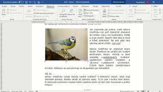 MS Word - seznam obrázků