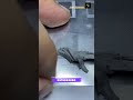 MacBook repair #shorts #trending #virel #Mac #shortvideo #short #macbook #macbookpro #shortvideo