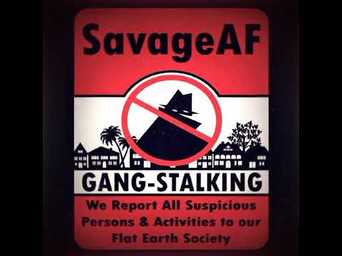 can little ones be apart of gangstalking sub question 