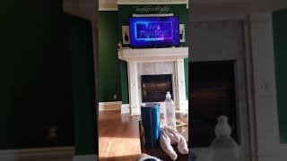20180901_090241.mp4