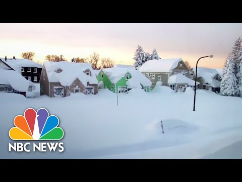 بڑے پیمانے پر برف باری کے بعد بھینسیں ہنگامی حالت میں | این بی سی نیوز