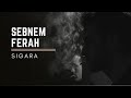 Efkan - Sigara 💠 (Şebnem Ferah Cover Lyric Video)