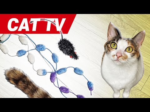 CAT TV💝Ultimate Cat TV Compilation😸Leave This On For Your Cat When You're Away.【CAT Games】