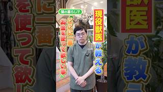 【お金の使い方】現役獣医師が推奨！猫との暮らしで一番お金を使って欲しい所を詳しく解説！　#獣医 #猫 #ねこフェス