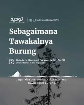 Bismillah # SEBAGAIMANA TAWAKALNYA BURUNG
