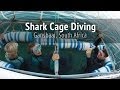 Shark Cage Diving - Gansbaai, South Africa