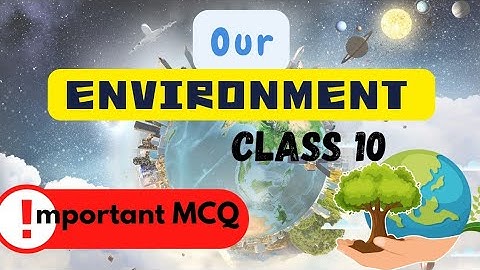 Our Environment Important MCQs | class 10