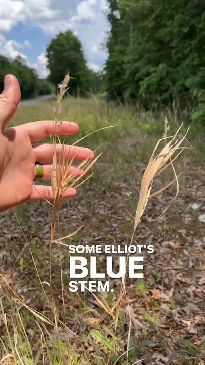 I was obviously a little excited to find something this great on our first site visit for this