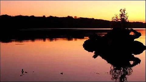 Mishary Rashid Al Alafasy - Surah Al Kahfi