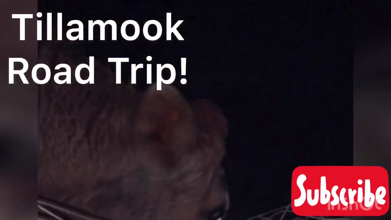 Tillamook Road Trip! YouTube