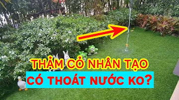 Thảm cỏ nhân tạo có thoát nước tốt khi trời mưa?