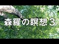 <森羅の瞑想3> ピアノ & 映像 by ウォンウィンツァン(90/9/26帯広勝毎ホール)#癒やし #リラクゼーション #ヒーリング #環境音楽 #アンビエント