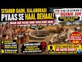 Nandikur Gram Panchayat ke Sitanur gaon kainsaan toh insaan, ab bejubaan jaanwar bhi pyaas se be hal