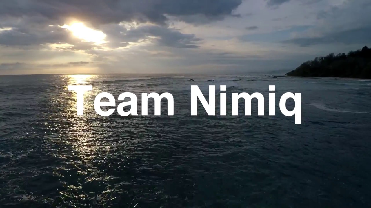 Nimiq (NIM) - Price, Chart, Info | CryptoSlate