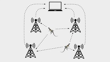 Radio Telemetry Tracking: Summer 2022