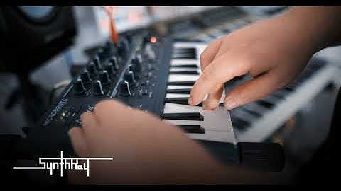 MicroBrute - Demo 1 ( No Talking )