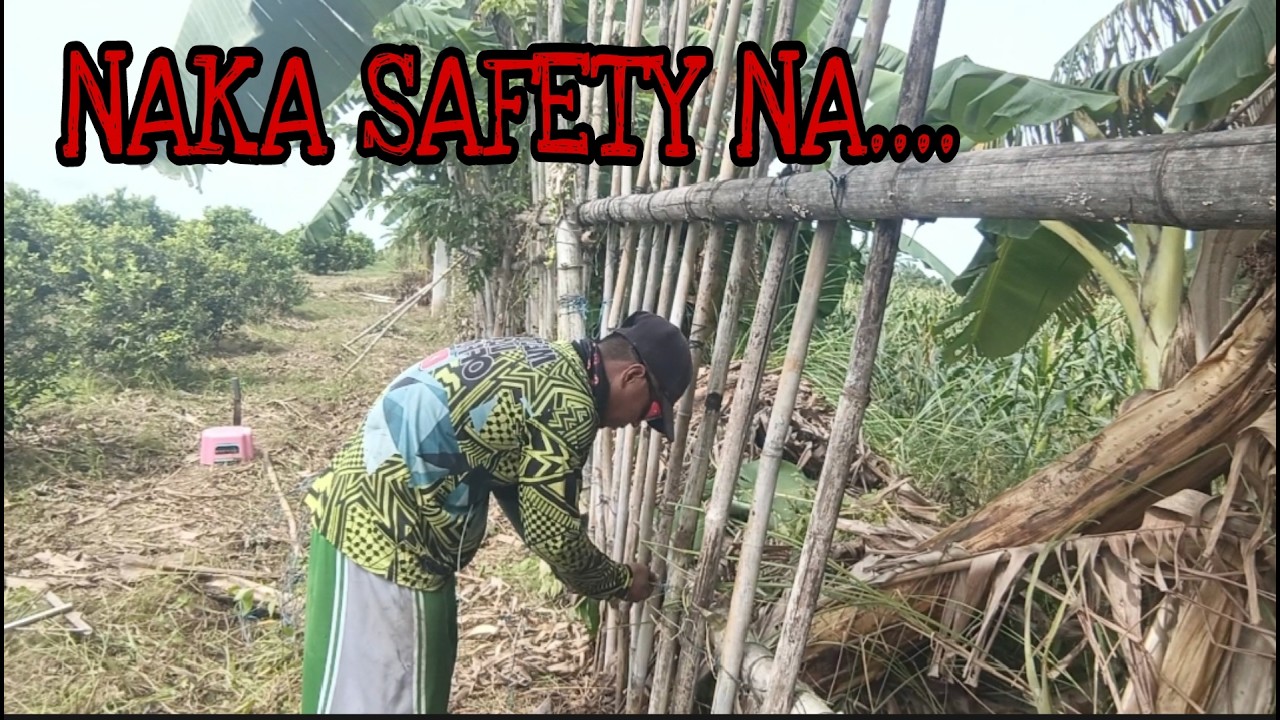 NAKA SAFETY NA + PG SPRAY NG KALAMANSI SA  IBABA AT ITAAS...
