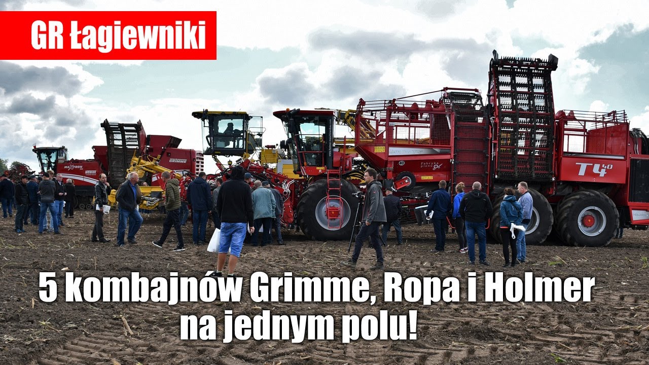 maxresdefault Pięć kombajnów Grimme, Ropa i Holmer na jednym polu, GR Łagiewniki   VIDEO