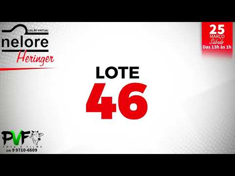 LOTE 46