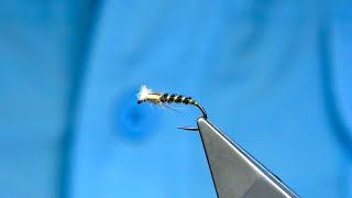 Tying a Sunburst and Brown Midge Pupa by Davie McPhail