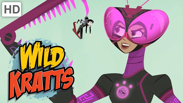 Wild Kratts 💪 Activate Tough Insect Powers! | Kids Videos - DayDayNews