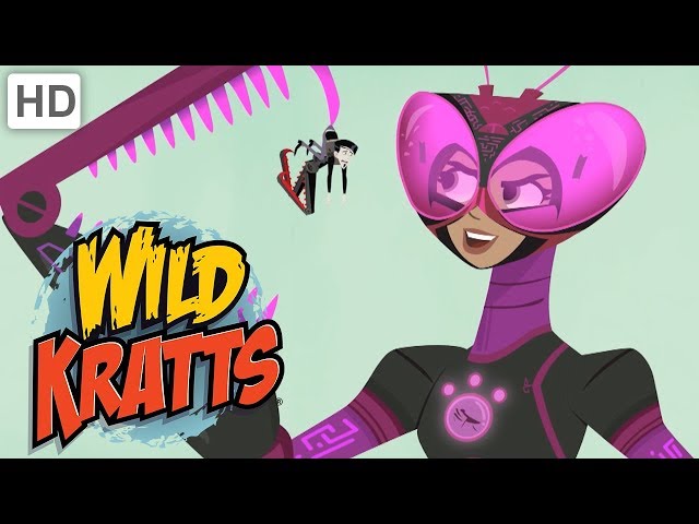 Wild Kratts 💪 Activate Tough Insect Powers! | Kids Videos class=