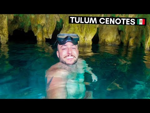 Video: Bagaimana Hendak Pergi Menyelam Gua Cenote Di Mexico - Matador Network