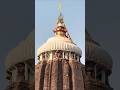 🙏LORD JAGANNATH KI MAHIMA🔱 Puri Temple Darshan#shorts#shortsfeed#shortvideo#viral #trending #bhakti