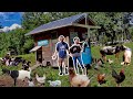 Raising 143 FARM Animals to FEED our FAMILY on our HOMESTEAD