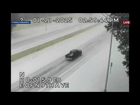 Snow in Florida's