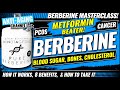 Berberine  berberine vs metformin  blood sugar  weight loss  anti aging