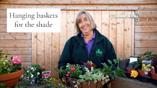 How to Plant a Shade Hanging Basket