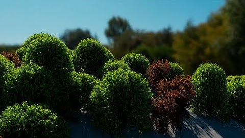 Improving Maya Paint Effects Trees
